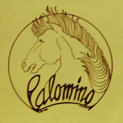 Palomino - Palomino